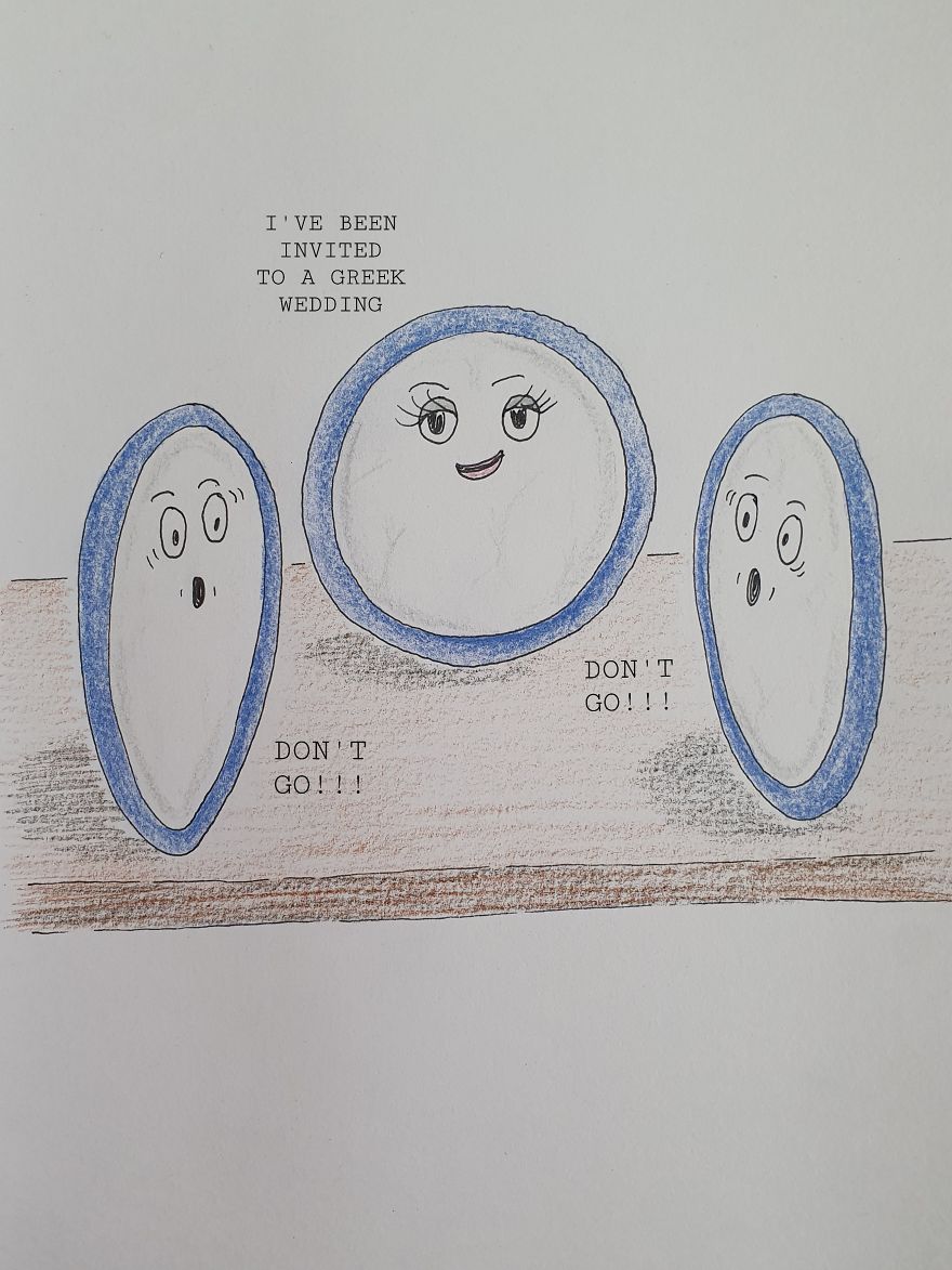 On The Crockery Shelf