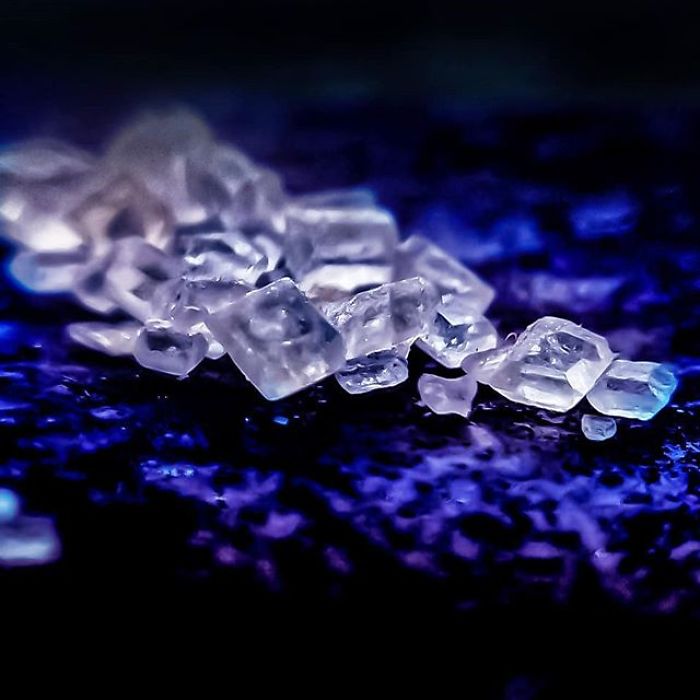 My Micro Photography Pictures Show This World In A Different Way (12 Pics)