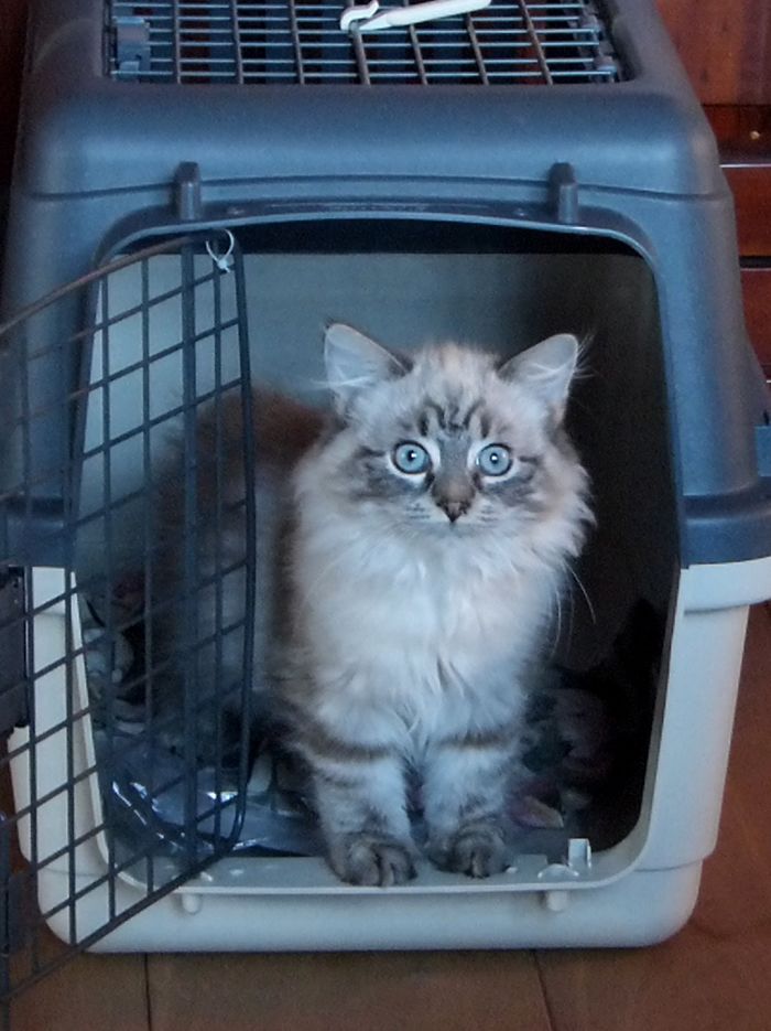 The Very First Foto Of Nini