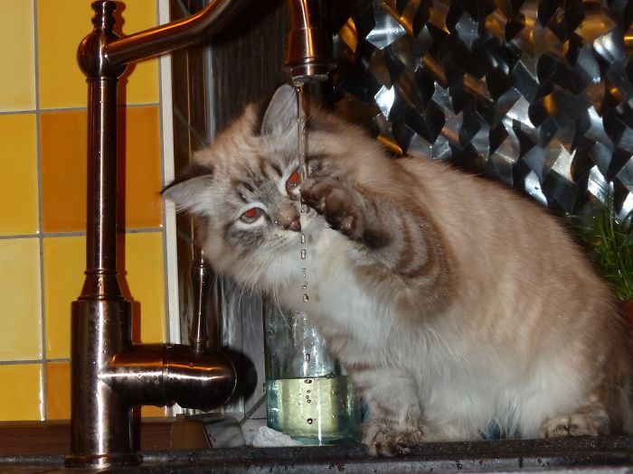 Nini Still Loves Water