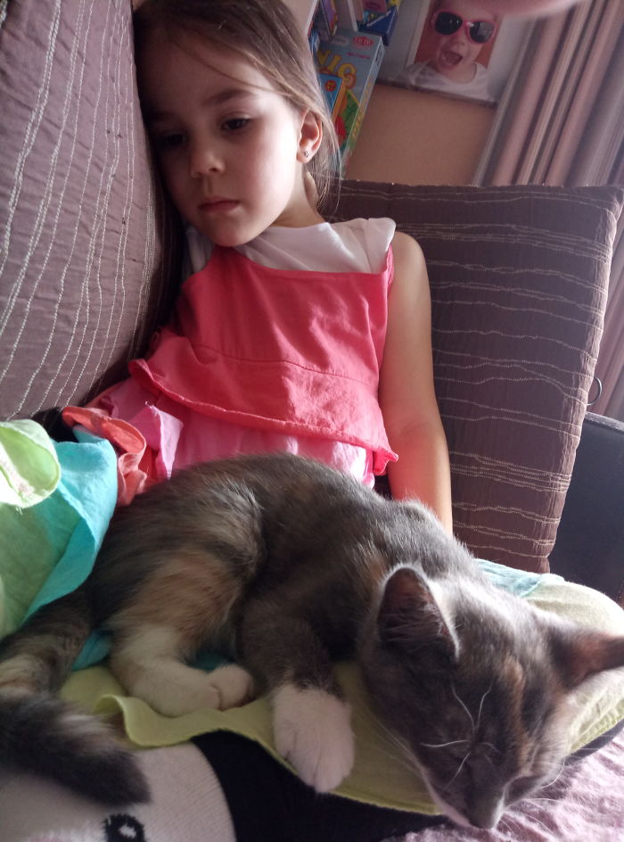 My 5 Year Old's Kitten Diamond Sparkle, An Hour After Her Adoption. Guess Who Named Her?