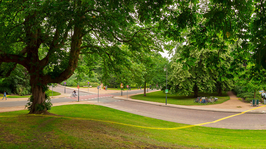 We Drew A Square To Show How Much Space Every Dutch Person Would Have If You Divided The Netherlands Equally To The Population