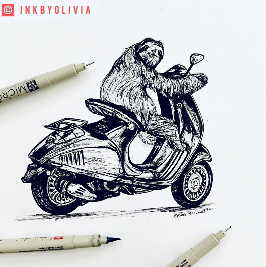 I've Been Drawing Every Single Day For Over A Year