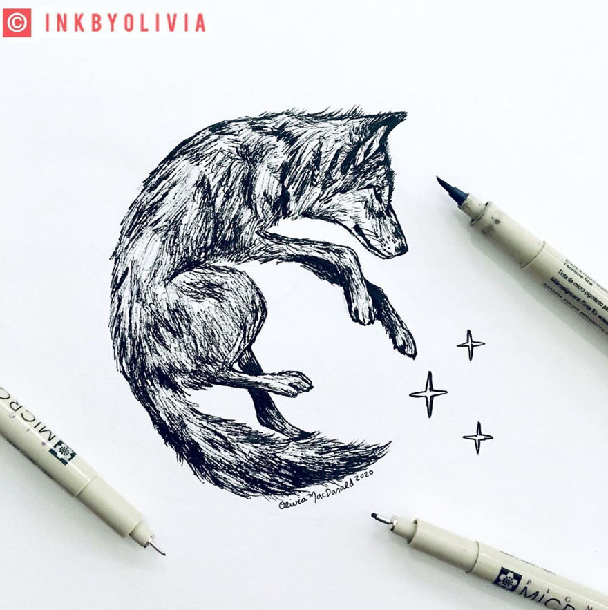 I've Been Drawing Every Single Day For Over A Year