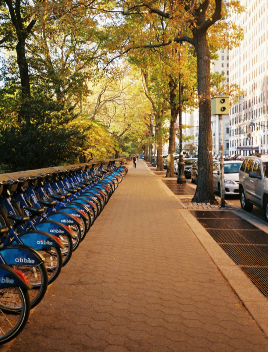 18 States In 8 Weeks: My Journey Across America.