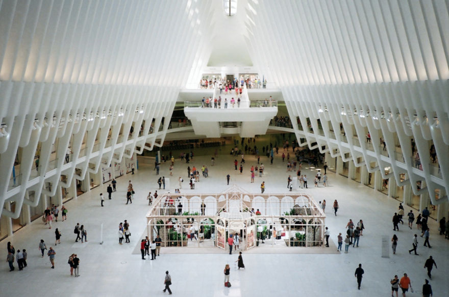 18 States In 8 Weeks: My Journey Across America.