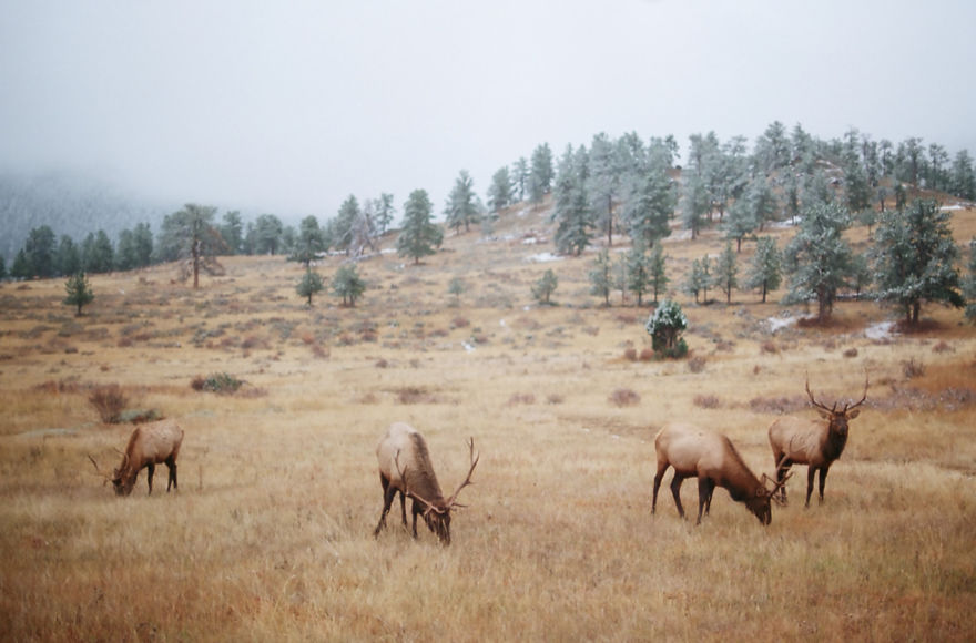 18 States In 8 Weeks: My Journey Across America.