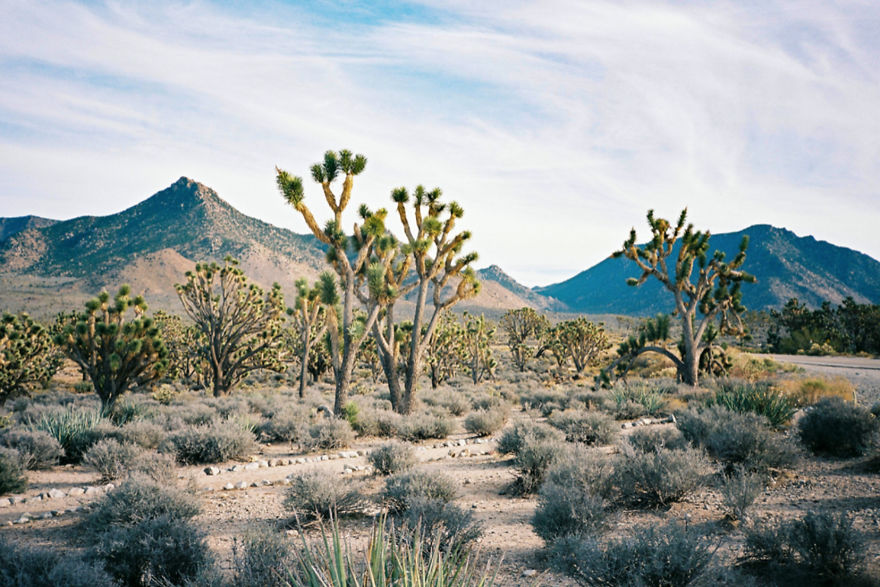 18 States In 8 Weeks: My Journey Across America.