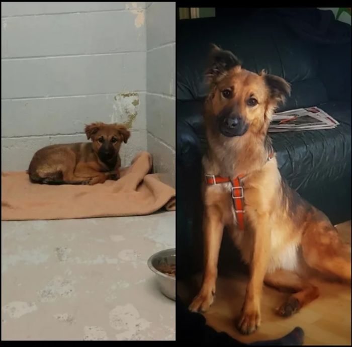 My Girl, In The Shelter vs. One Year Later