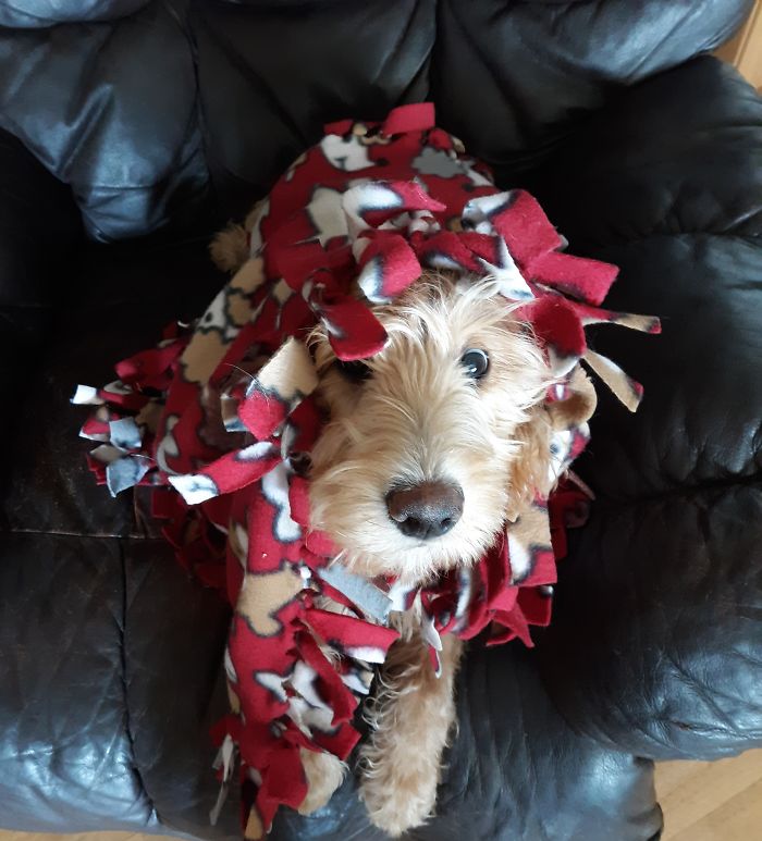 Sofie Loves Her Blanket.