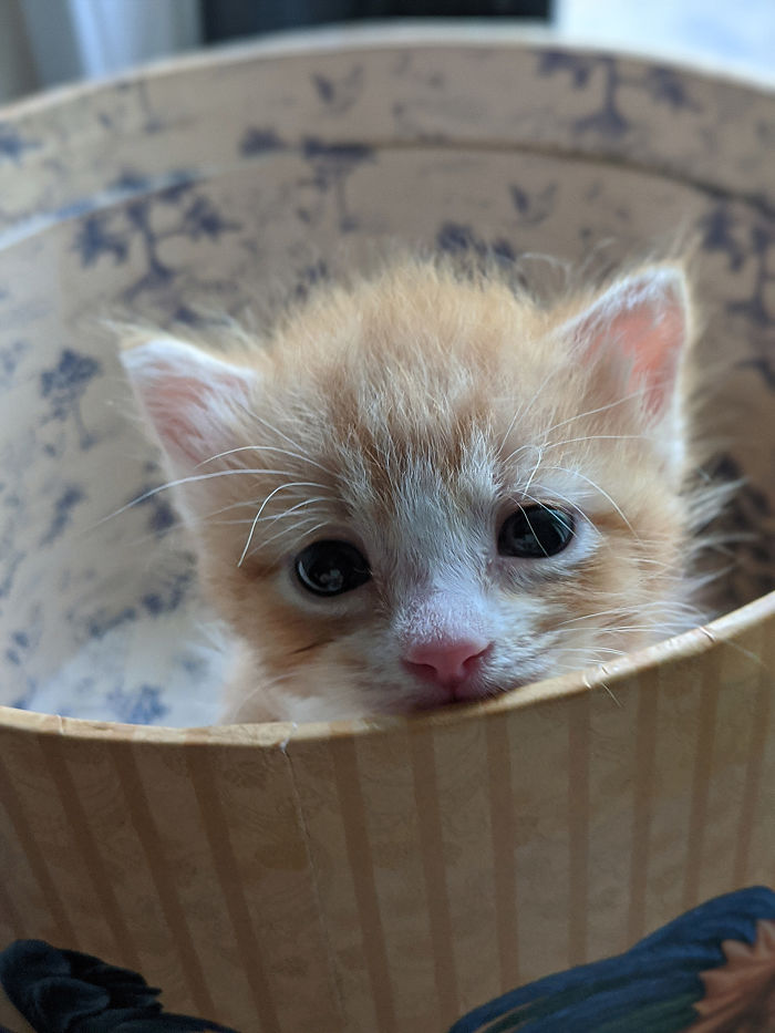 I Was Sleeping In A Garbage Can. Now I Sleep On The Bed