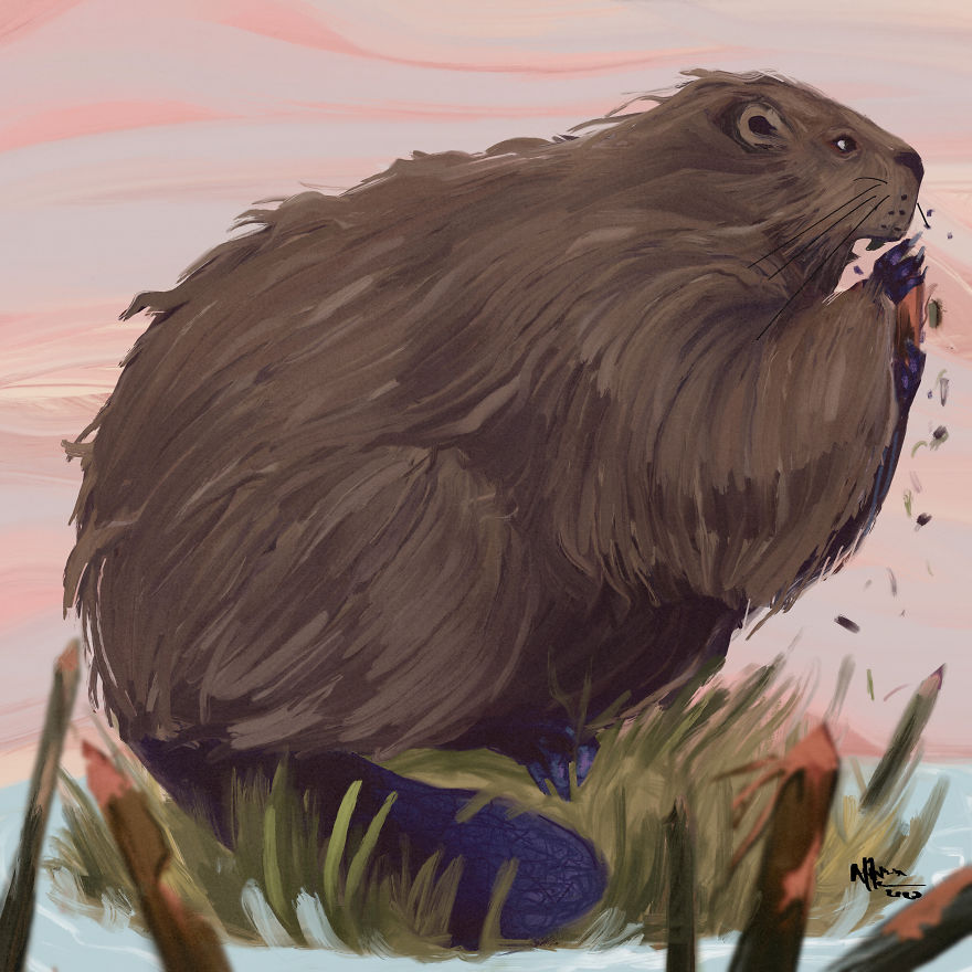 I Illustrated This Chonky Animals Series (13 Pics)