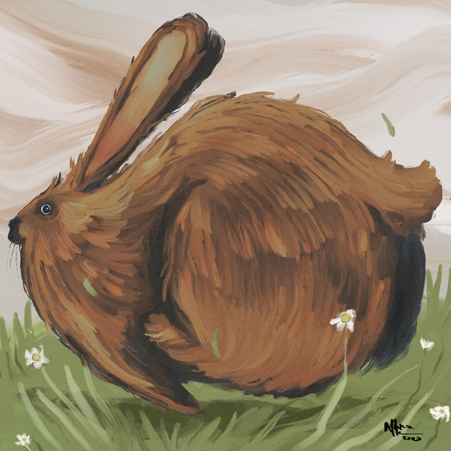 I Illustrated This Chonky Animals Series (13 Pics)