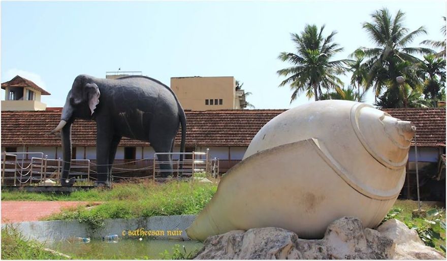 The Honour Of Elephant And Shangu