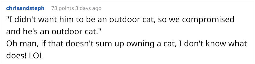 Woman Left Her Cat In Her Yard, Ran Outside After Hearing Screams To Find There Were Two Of Them And She Couldn't Tell Who Was Who