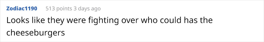 Woman Left Her Cat In Her Yard, Ran Outside After Hearing Screams To Find There Were Two Of Them And She Couldn't Tell Who Was Who