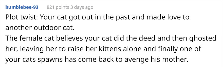 Woman Left Her Cat In Her Yard, Ran Outside After Hearing Screams To Find There Were Two Of Them And She Couldn't Tell Who Was Who