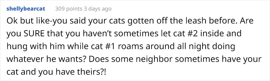 Woman Left Her Cat In Her Yard, Ran Outside After Hearing Screams To Find There Were Two Of Them And She Couldn't Tell Who Was Who