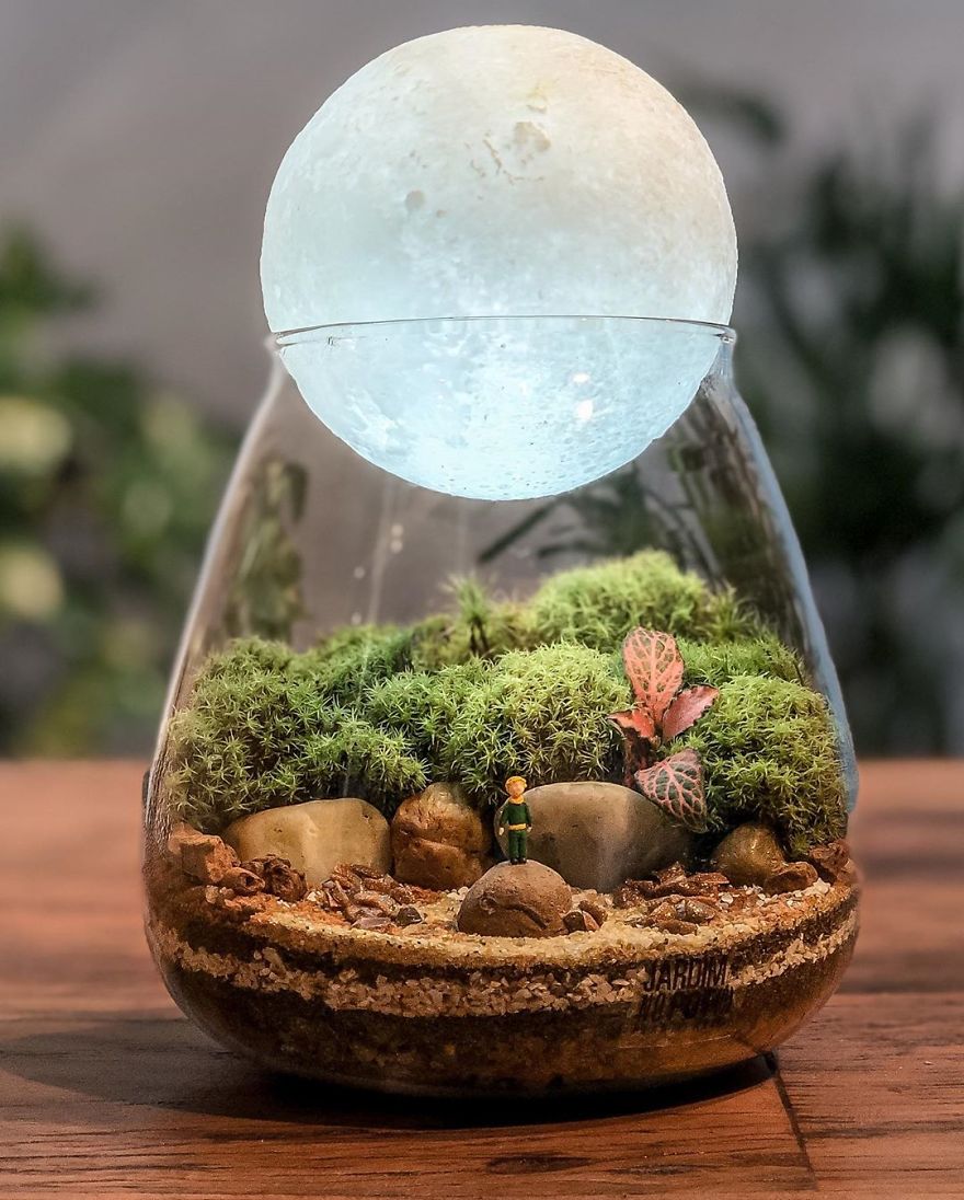 This Company Makes Incredible Micro Ecosystems In Pots And You Will Definitely Want One In Your Home