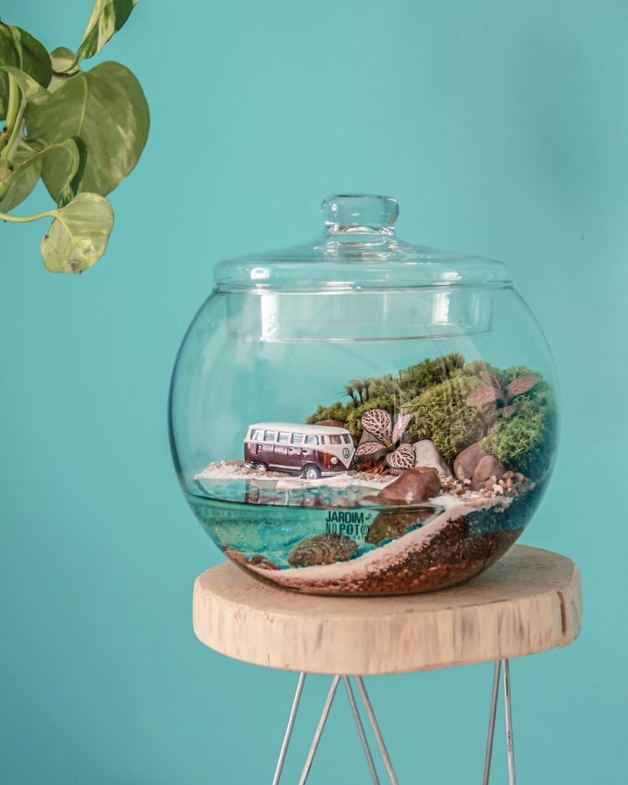 This Company Makes Incredible Micro Ecosystems In Pots And You Will Definitely Want One In Your Home