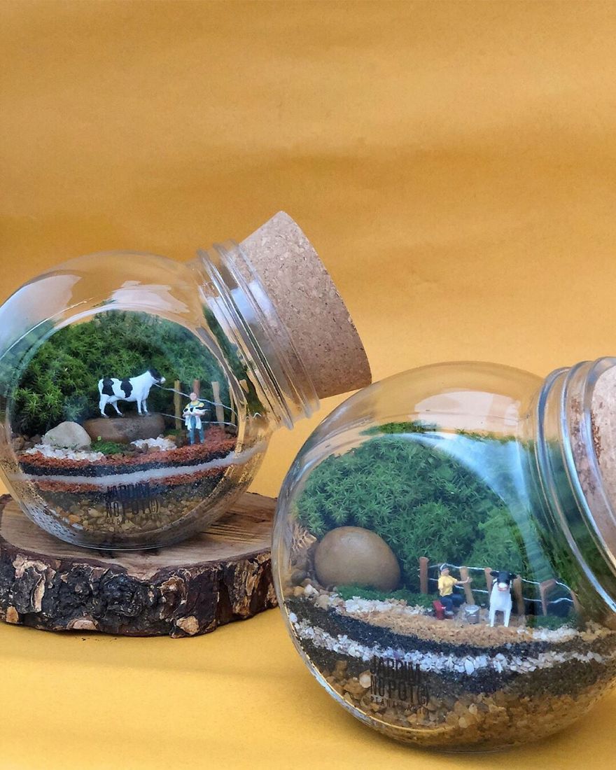 This Company Makes Incredible Micro Ecosystems In Pots And You Will Definitely Want One In Your Home