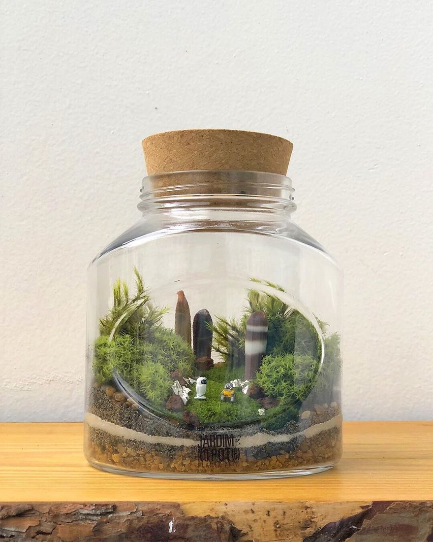 This Company Makes Incredible Micro Ecosystems In Pots And You Will Definitely Want One In Your Home