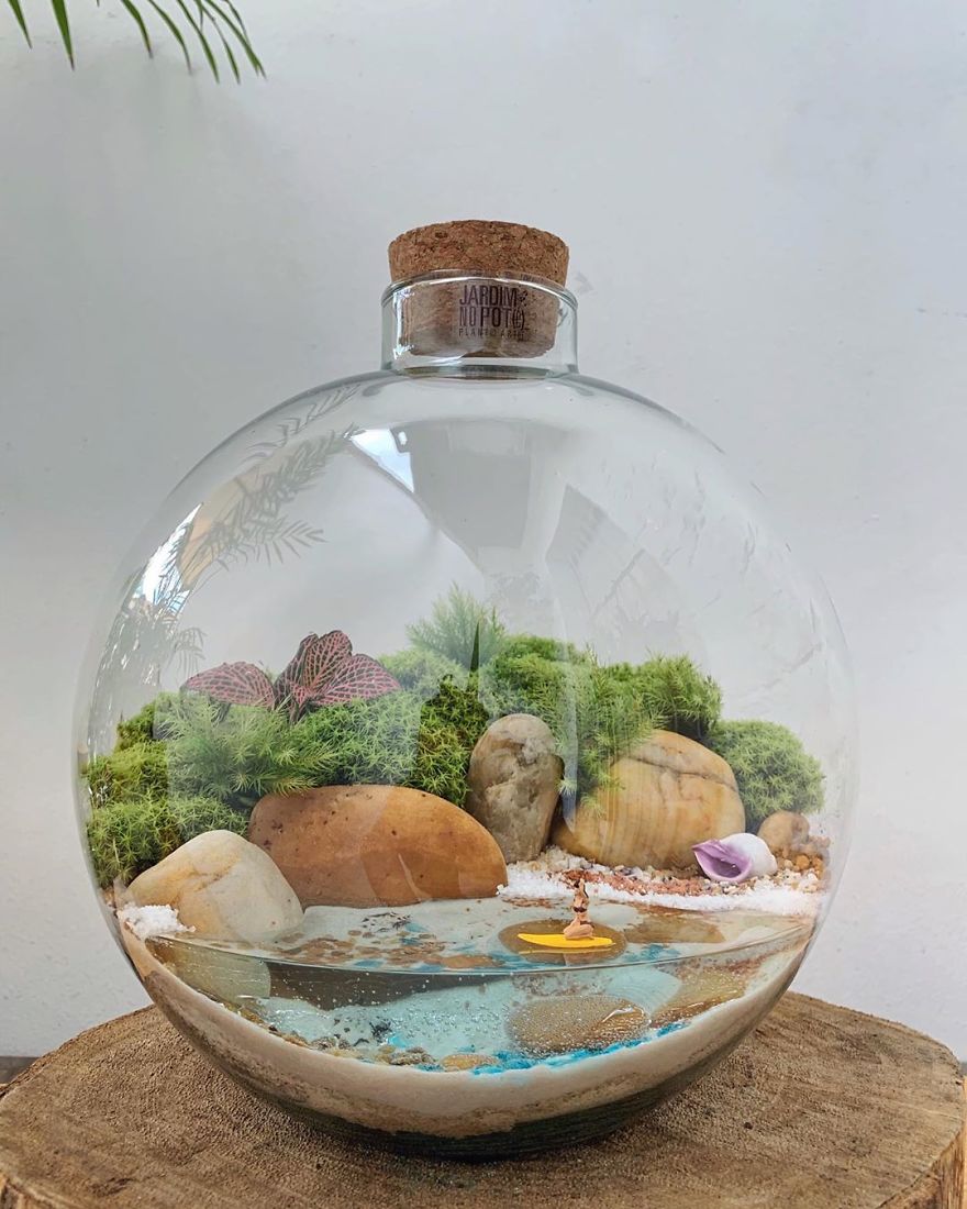 This Company Makes Incredible Micro Ecosystems In Pots And You Will Definitely Want One In Your Home