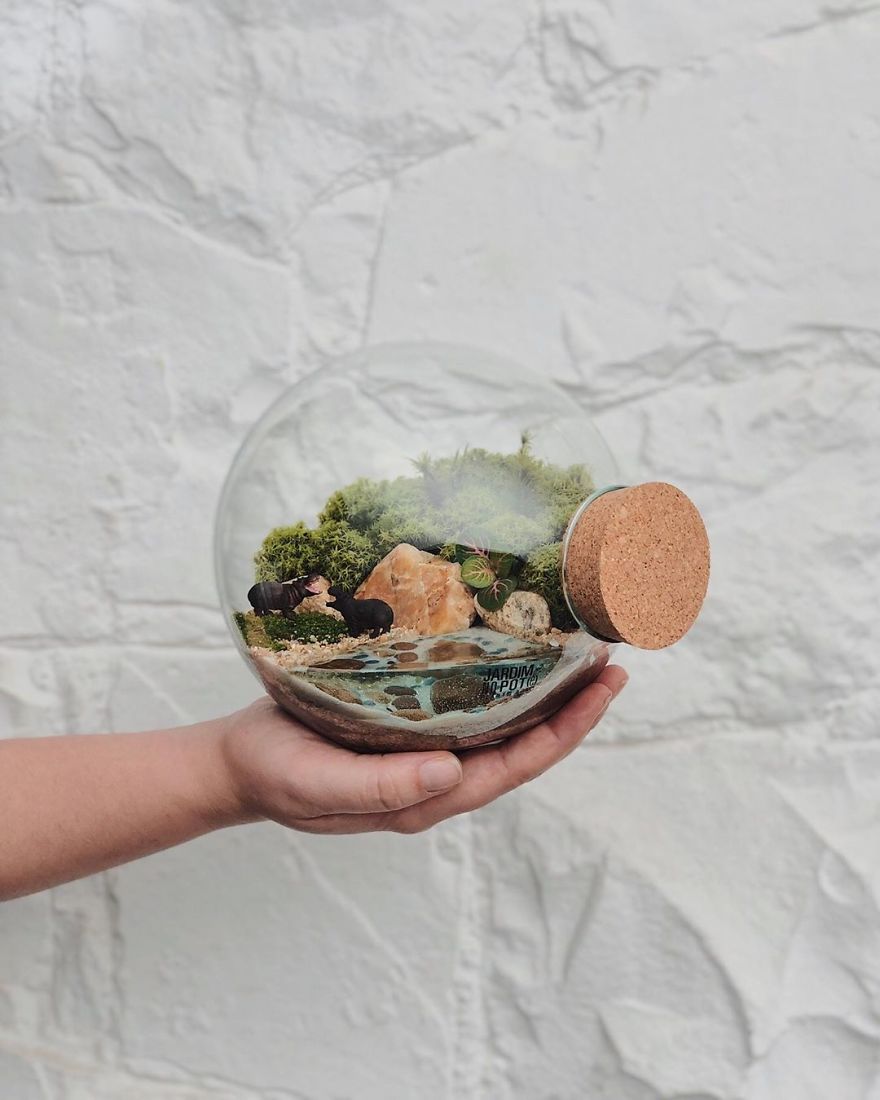 This Company Makes Incredible Micro Ecosystems In Pots And You Will Definitely Want One In Your Home