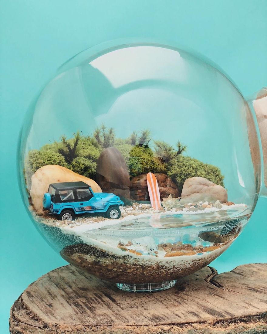 This Company Makes Incredible Micro Ecosystems In Pots And You Will Definitely Want One In Your Home