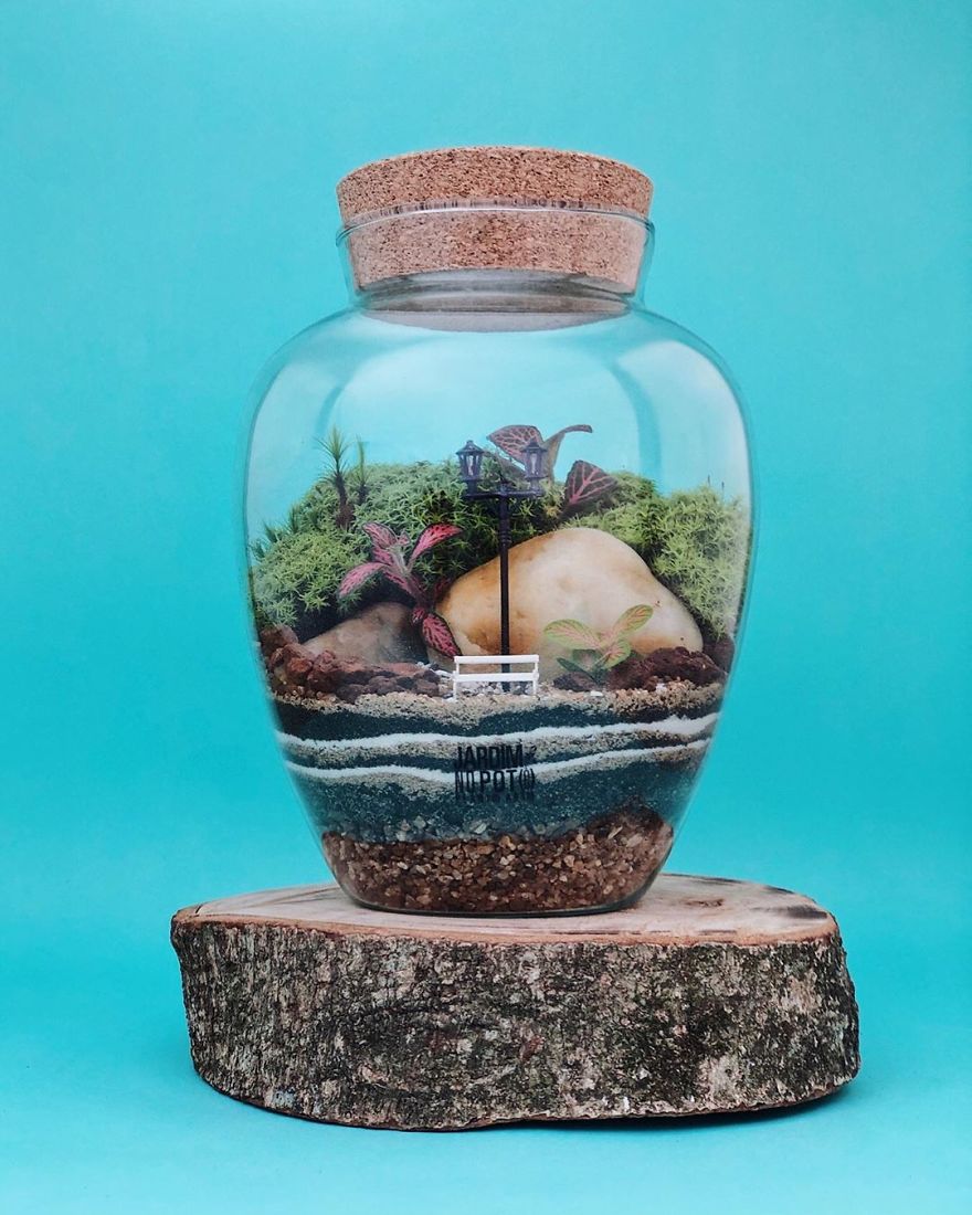 This Company Makes Incredible Micro Ecosystems In Pots And You Will Definitely Want One In Your Home