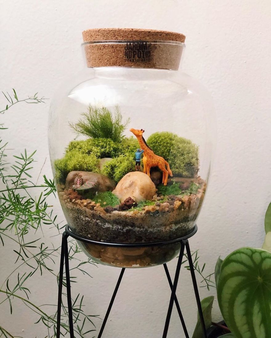 This Company Makes Incredible Micro Ecosystems In Pots And You Will Definitely Want One In Your Home