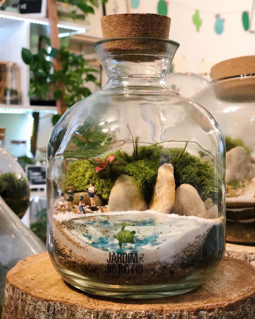 This Company Makes Incredible Micro Ecosystems In Pots And You Will Definitely Want One In Your Home