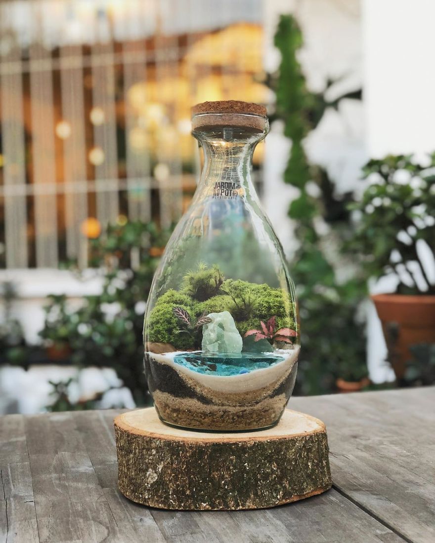 This Company Makes Incredible Micro Ecosystems In Pots And You Will Definitely Want One In Your Home