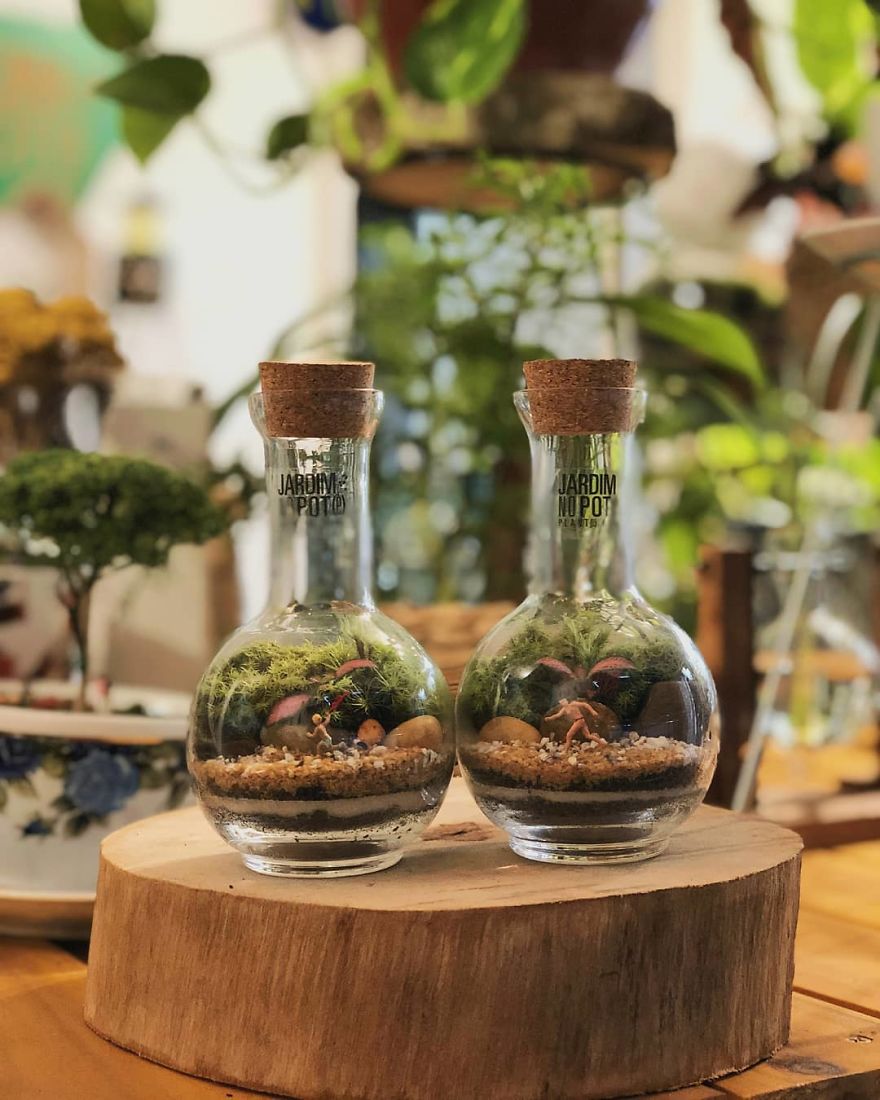 This Company Makes Incredible Micro Ecosystems In Pots And You Will Definitely Want One In Your Home