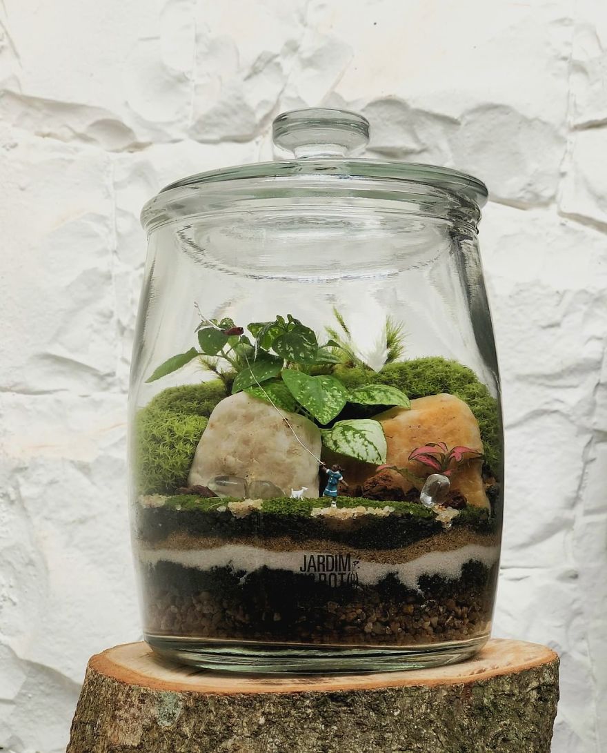 This Company Makes Incredible Micro Ecosystems In Pots And You Will Definitely Want One In Your Home