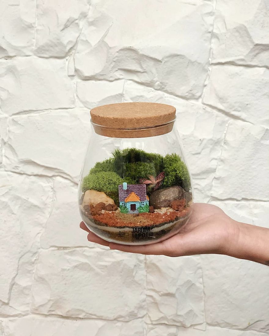 This Company Makes Incredible Micro Ecosystems In Pots And You Will Definitely Want One In Your Home