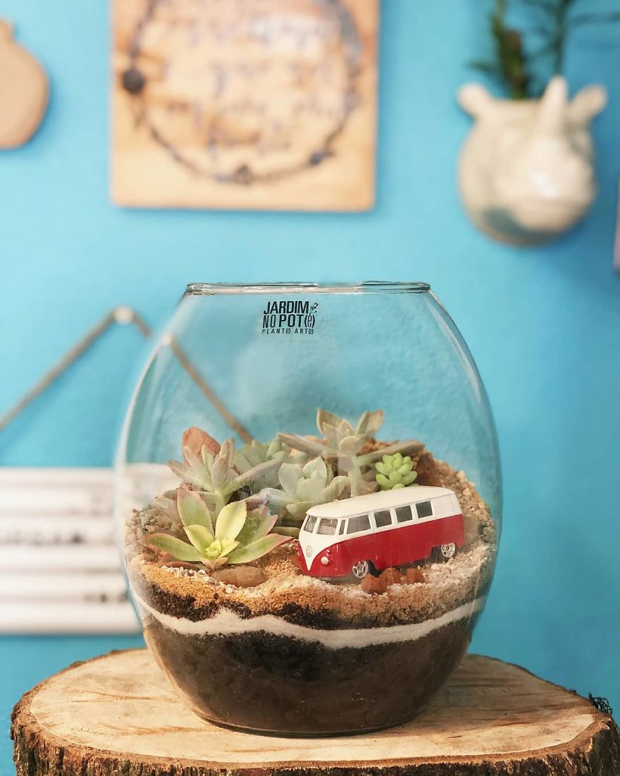 This Company Makes Incredible Micro Ecosystems In Pots And You Will Definitely Want One In Your Home