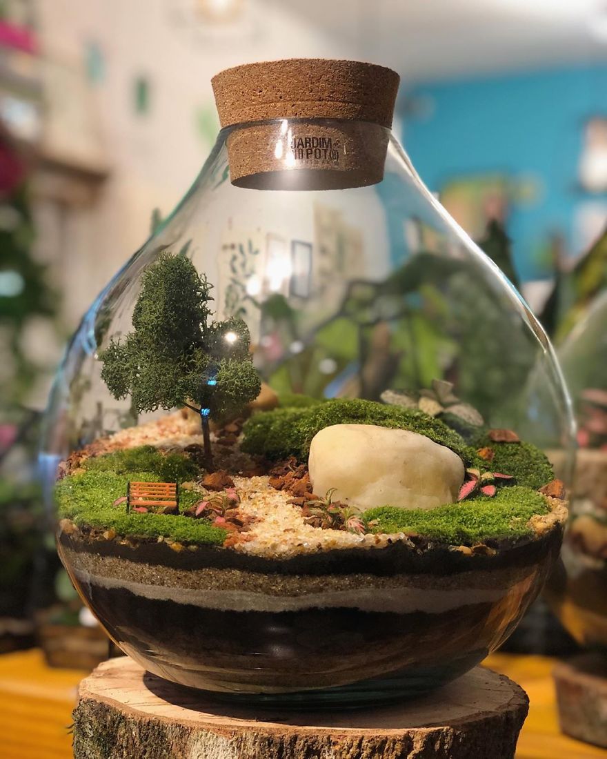 This Company Makes Incredible Micro Ecosystems In Pots And You Will Definitely Want One In Your Home