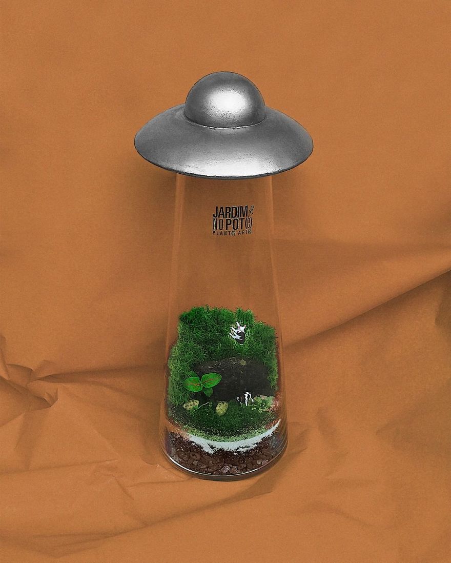 This Company Makes Incredible Micro Ecosystems In Pots And You Will Definitely Want One In Your Home