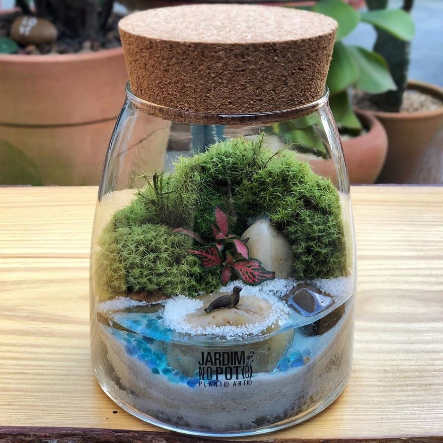 This Company Makes Incredible Micro Ecosystems In Pots And You Will Definitely Want One In Your Home