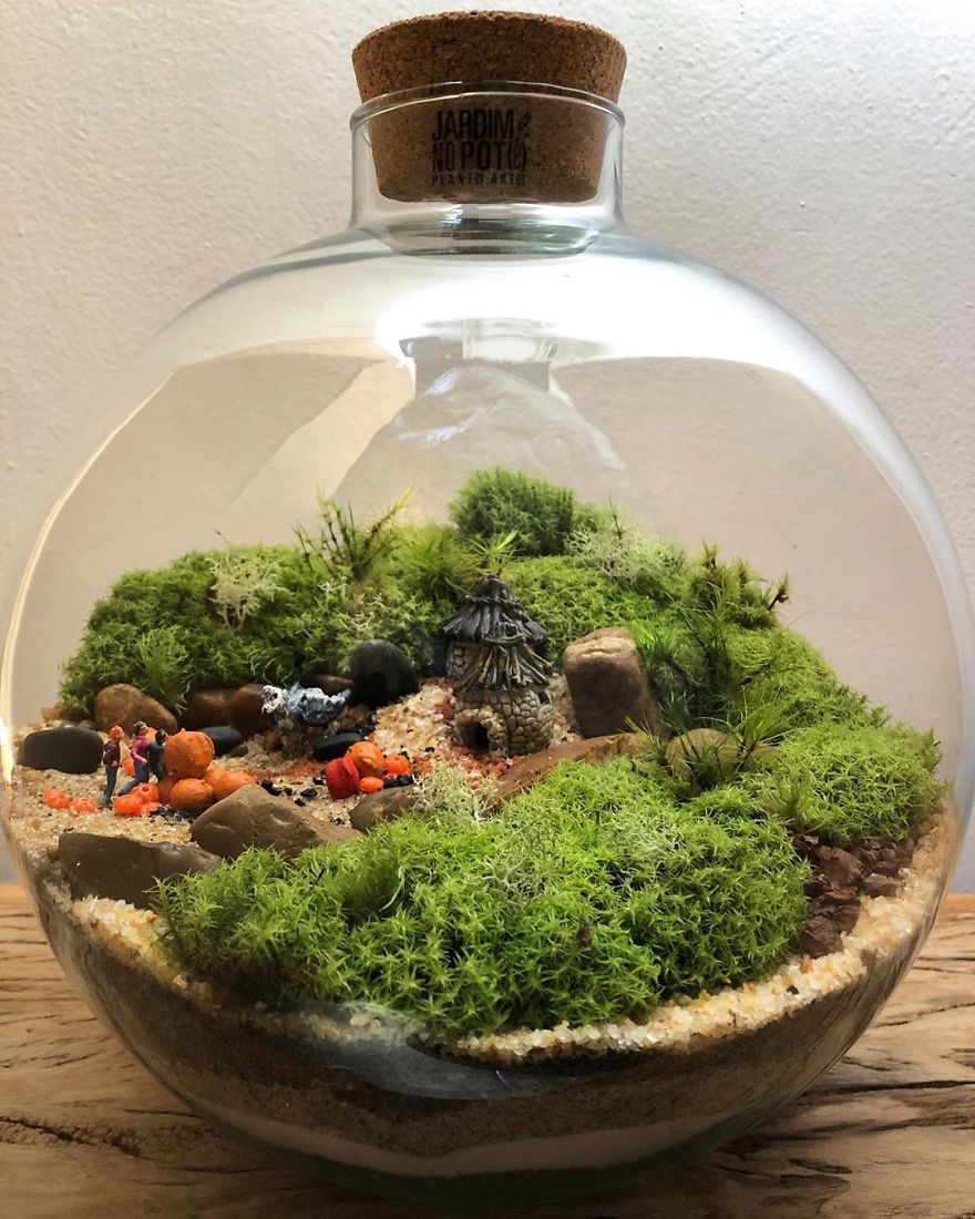 This Company Makes Incredible Micro Ecosystems In Pots And You Will Definitely Want One In Your Home