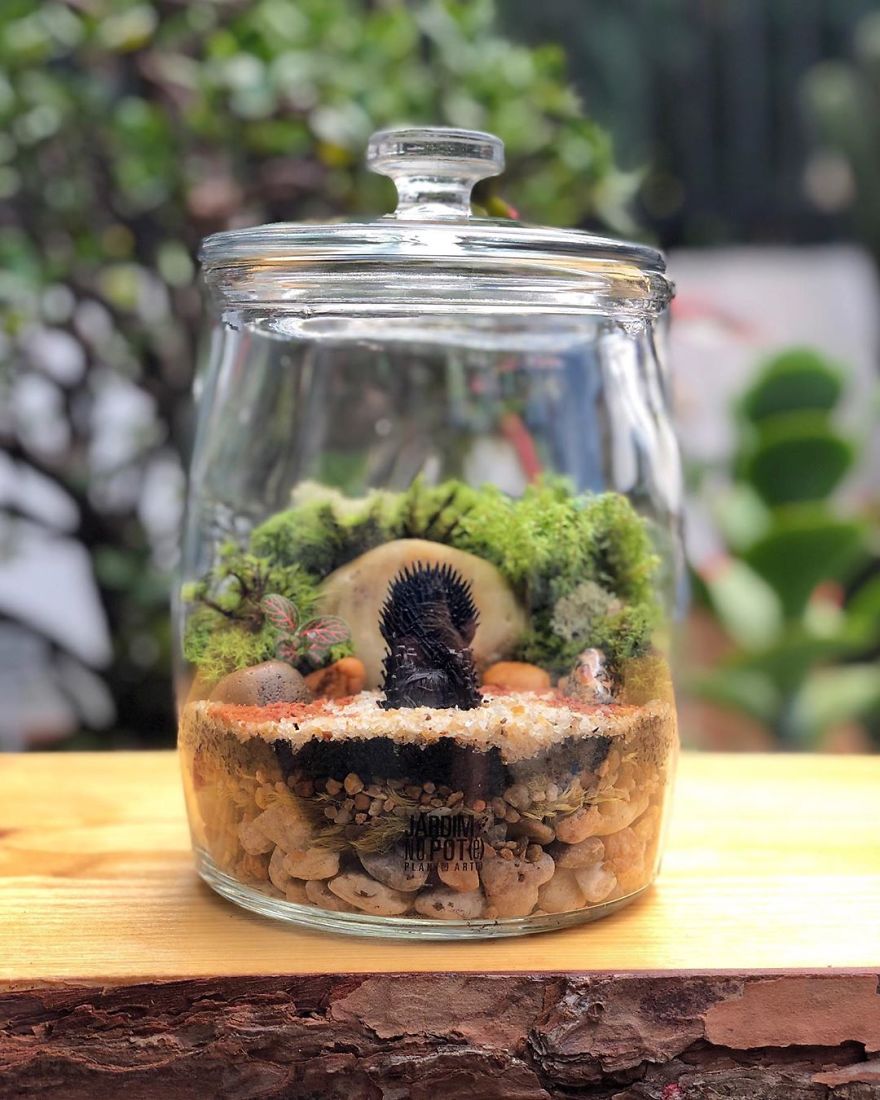 This Company Makes Incredible Micro Ecosystems In Pots And You Will Definitely Want One In Your Home