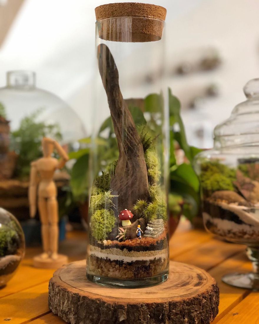 This Company Makes Incredible Micro Ecosystems In Pots And You Will Definitely Want One In Your Home