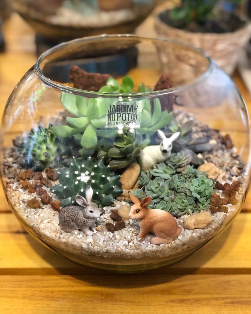 This Company Makes Incredible Micro Ecosystems In Pots And You Will Definitely Want One In Your Home