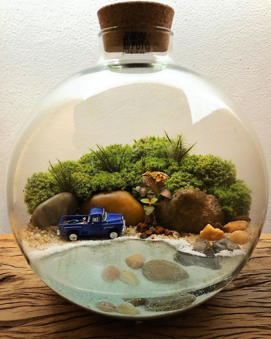 This Company Makes Incredible Micro Ecosystems In Pots And You Will Definitely Want One In Your Home