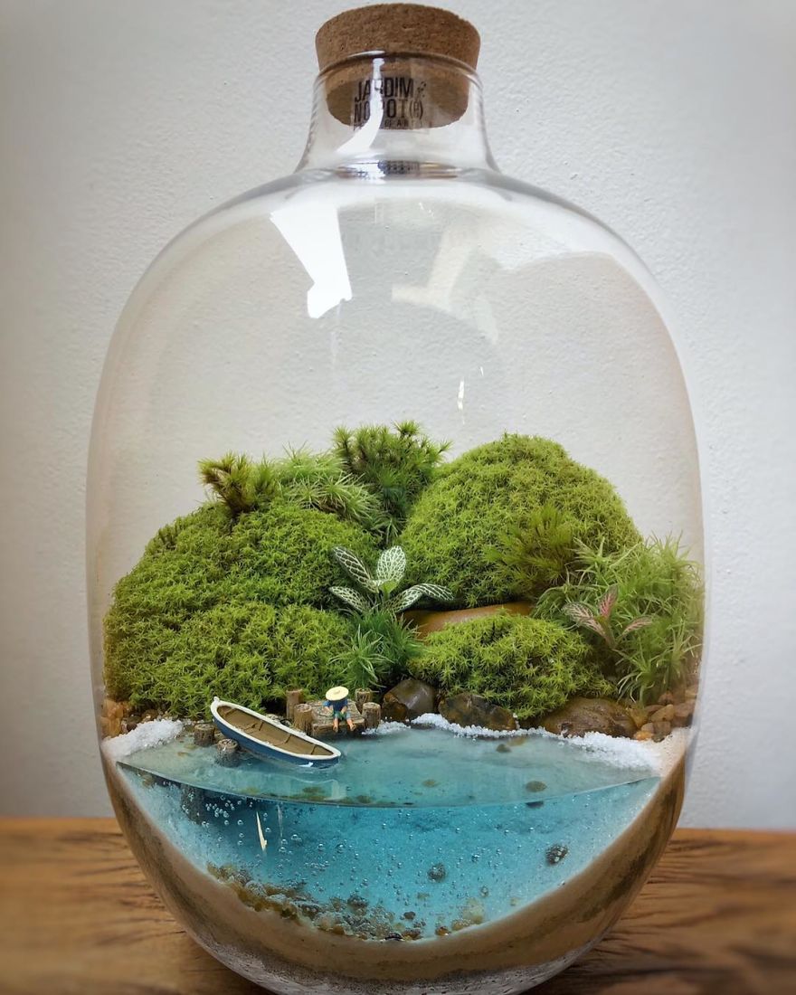 This Company Makes Incredible Micro Ecosystems In Pots And You Will Definitely Want One In Your Home