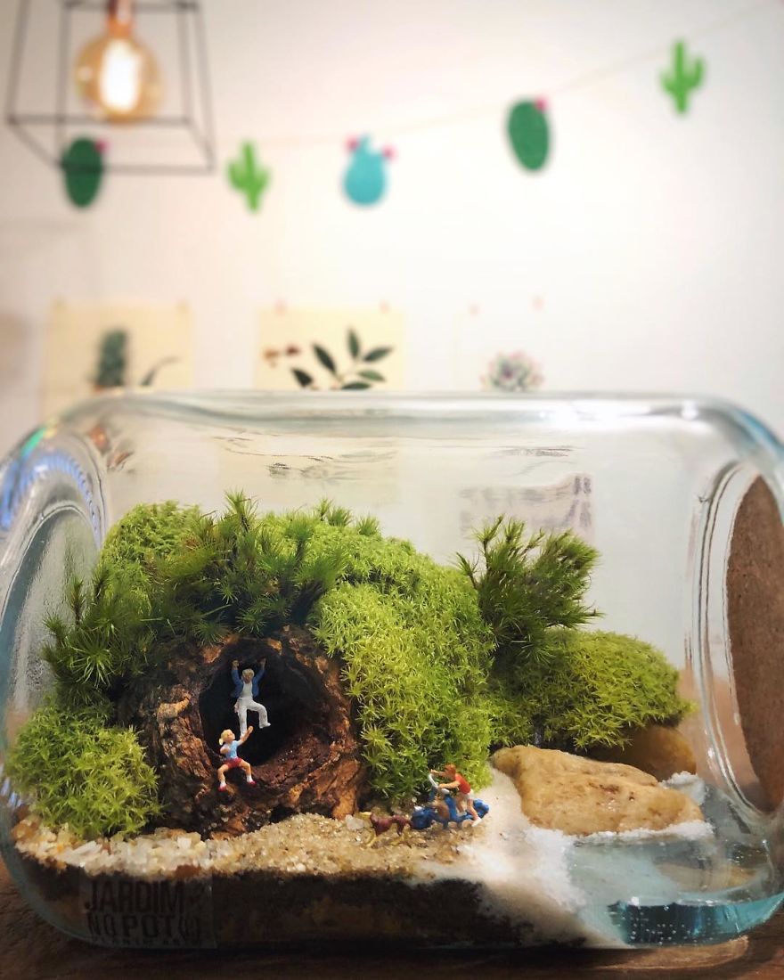 This Company Makes Incredible Micro Ecosystems In Pots And You Will Definitely Want One In Your Home