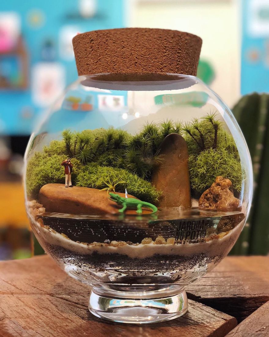 This Company Makes Incredible Micro Ecosystems In Pots And You Will Definitely Want One In Your Home