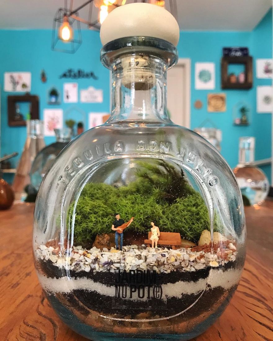 This Company Makes Incredible Micro Ecosystems In Pots And You Will Definitely Want One In Your Home