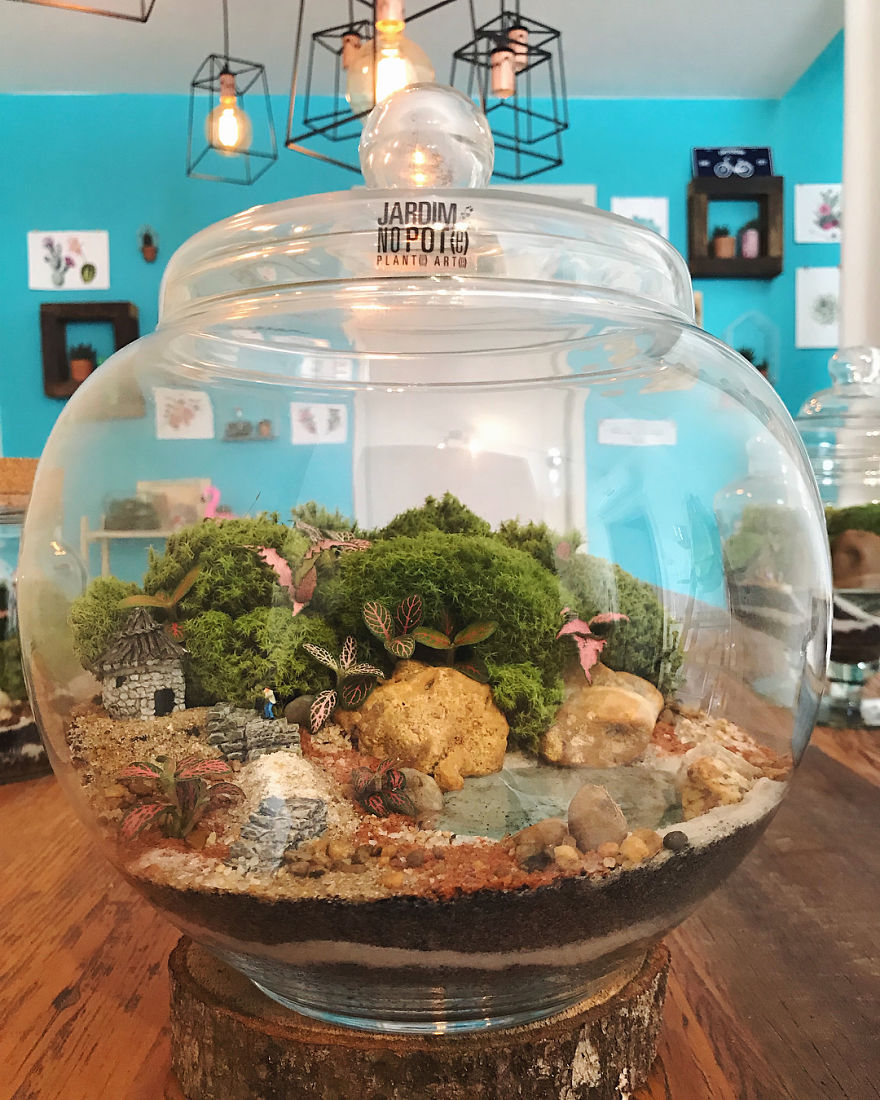 This Company Makes Incredible Micro Ecosystems In Pots And You Will Definitely Want One In Your Home